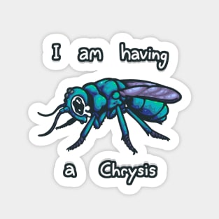 Wasp Having a Chrysis Sticker